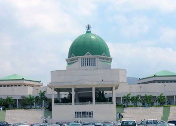 NASS wants capital market regulations strengthened