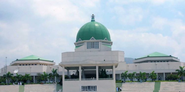 NASS wants capital market regulations strengthened
