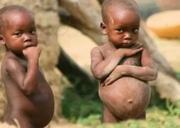 Food crises: North-east Nigeria gets $10m Emergency Response Fund