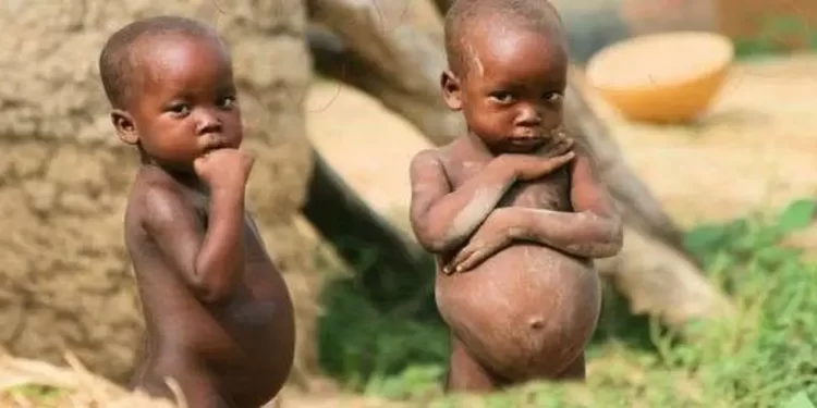 Food crises: North-east Nigeria gets $10m Emergency Response Fund