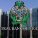As the naira continues to slide at the parallel market, what options for CBN?