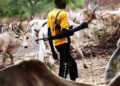 Fear Grips Kogi East as Fulani Herdsmen Take Over Omala LGA