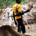 Fear Grips Kogi East as Fulani Herdsmen Take Over Omala LGA