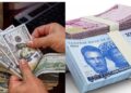 Reforms Will Stabilise FX Market, Improve Value of Naira – CBN
