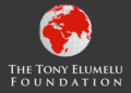 Tony Elumelu Foundation Empowers 20,000 Entrepreneurs Across Africa in 10yrs