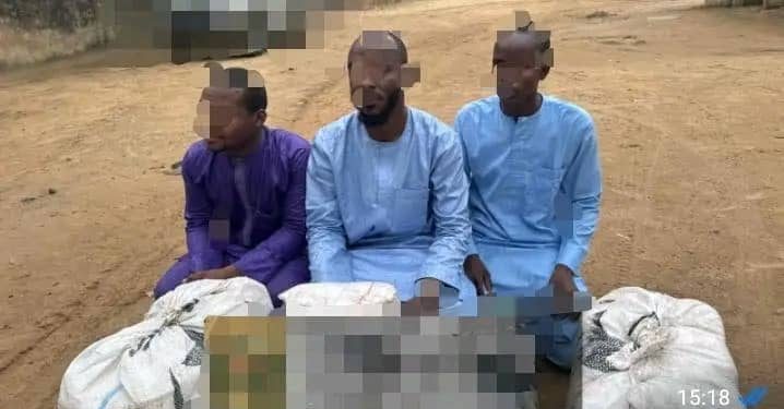 Operation Hadin Kai: Troops Tighten Grip on Terrorist Logistics In Northeast