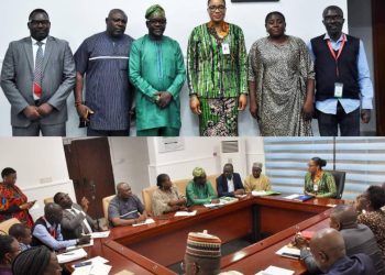 PTAD Hosts Online Editors to Foster Collaboration to Sanitise Nigeria’s Pension System