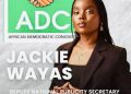 The Power of Patriotism: Nigerian Youth as Architects of Our Future