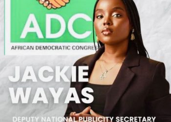 The Power of Patriotism: Nigerian Youth as Architects of Our Future