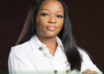Tinubu Appoints Omotenioye Majekodunmi as New Head of Climate Council, Reinforces Green Agenda