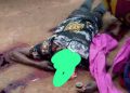 Suspected Fulani Herdsmen Murder Tiv Man in Alima Village, Kadarko Nasarawa