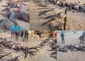 Troops repel Boko Haram/ISWAP Attacks, Kills Over 50 Terrorists In Borno and Yobe