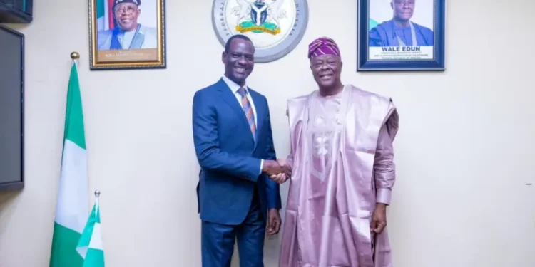 Tax Czar Oyedele Now Finance Minister