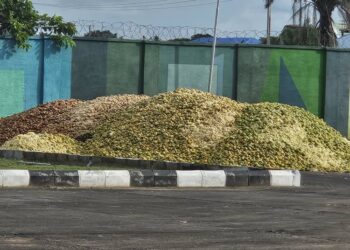 SALE OF ORANGE CHAFF FOR ORGANIC FERTILIZER, ANIMAL FEEDS