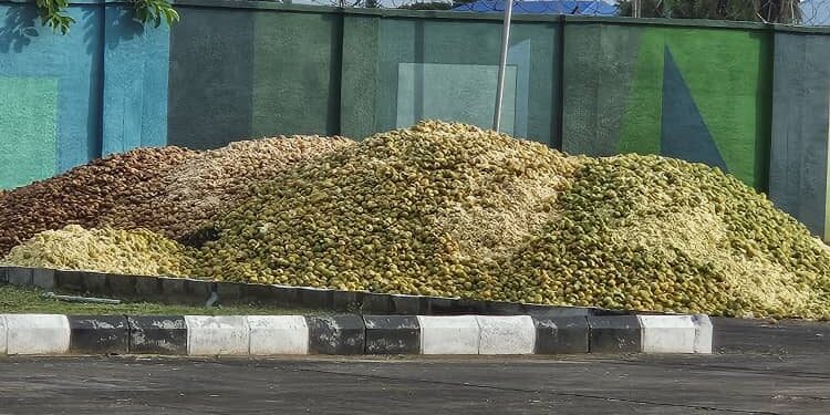 SALE OF ORANGE CHAFF FOR ORGANIC FERTILIZER, ANIMAL FEEDS