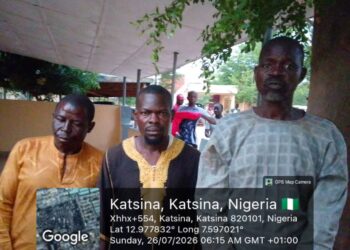 Troops Foil Kidnap Attempt, Recover Rustled Livestock in 3 Separate Katsina Operations