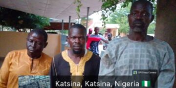 Troops Foil Kidnap Attempt, Recover Rustled Livestock in 3 Separate Katsina Operations
