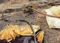 Navy Bursts Illegal Refining Sites, Recovers Over 126,000 Petroleum Products in Rivers State