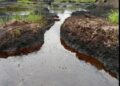 How Nigeria’s Oil Wealth Created an Environmental Refugee Crisis at Home