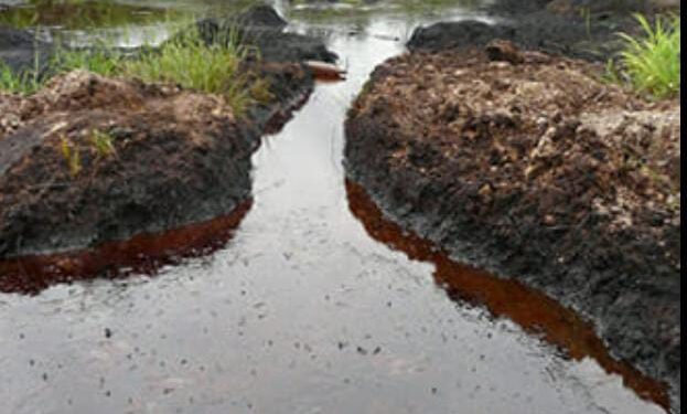 How Nigeria’s Oil Wealth Created an Environmental Refugee Crisis at Home