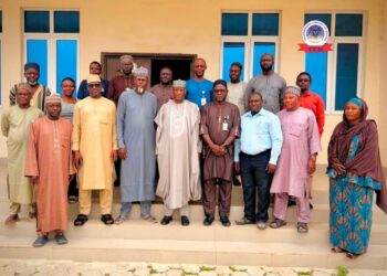 TCN, NISO Affirm Commitment to Efficient National Electricity Grid