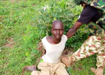 Another Foreign Terrorist Fighter Nabbed in Borno