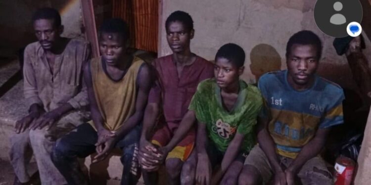 Troops Rescue 13 Kidnapped Victims, Foil Terror Attack in Zamfara