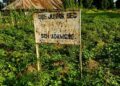 RCM Primary School Adamgbe is a monument of neglect in Vandeikya