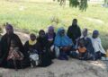 Troops Offensive Pressure Compel 17 Boko Haram Family Members to Surrender in Borno