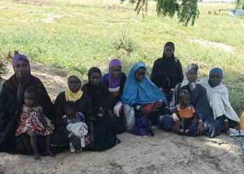 Troops Offensive Pressure Compel 17 Boko Haram Family Members to Surrender in Borno