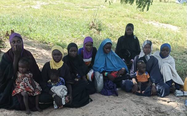 Troops Offensive Pressure Compel 17 Boko Haram Family Members to Surrender in Borno