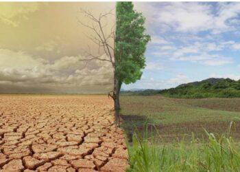 At The Tipping Point: How Climate Change is Rewriting Nigeria’s Future