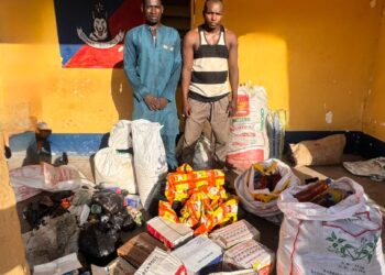 Troops Nab 4 Terro Collaborators, Seize Drugs, Logistics in Yobe, Borno