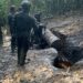Navy Destroys 3 Illegal Refineries in Rivers, Recovers 91,000 Litres of Stolen Crude