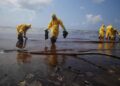 Beyond Laws and Enforcement: Why Nigeria Must Teach Its Way Out of Ecological Crisis