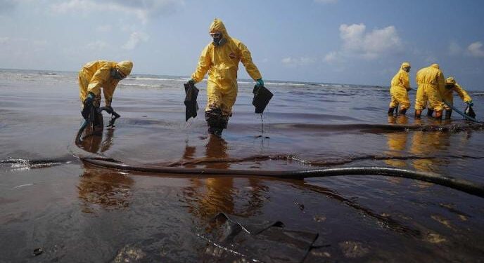 Beyond Laws and Enforcement: Why Nigeria Must Teach Its Way Out of Ecological Crisis