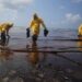 Beyond Laws and Enforcement: Why Nigeria Must Teach Its Way Out of Ecological Crisis