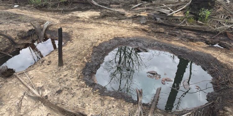 Navy Dismantles 2 Illegal Refining Site, Recovers 34,000 LTRs of AGO in Rivers