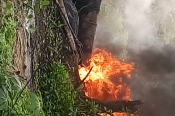 Navy Deactivates 2 Illegal Refineries, Seizes 85,300 Litres of Crude in Rivers