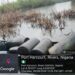 Navy Foils Illegal Pipeline Connection, Recovers 24,000 Litres of Stolen Crude in Bonny