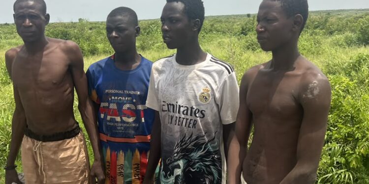 Operation FANSAN YAMMA Rescues 10 Civilians in Sokoto, Kebbi, Zamfara