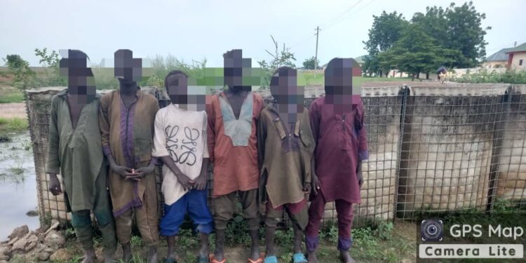 OPHK Records 213% Increase in Terrorist Surrenders in One Week