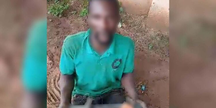 Suspected Vandals Arrested by Local Vigilante Along Benin–Onitsha 330kV Transmission Line