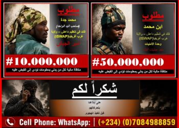 Military Places Bounty on ISWAP ‘Wali’ After Identifying Top Commanders in Lake Chad
