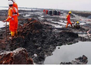 HYPREP Unveils New 5- Year Strategic Plan For Ogoni Cleanup as Shoreline Restoration Begins