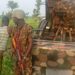Troops Rescue 6 Kidnap Victims in Kebbi, Foils Terror Attack