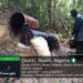 Navy Recovers 33,800 LTRs of Stolen Petroleum Products in Rivers
