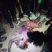 Troops Repel ISWAP Attack in Pulka, One Soldier Injured