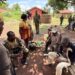 Troops Rescue 7 Kidnap Victims in Benue