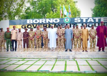 Defeating Terrorism Requires Public Support, Intelligence Sharing — COAS Tells Zulum